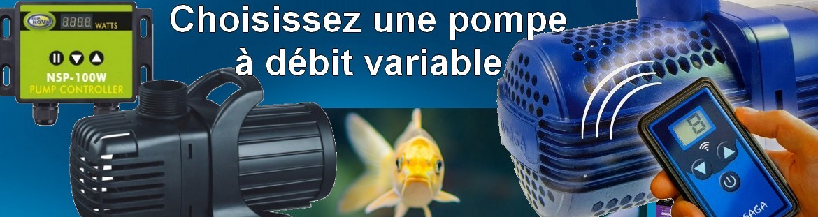 pompe de bassin variable